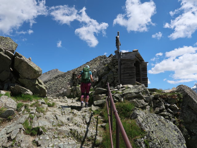 Ursa am Krimmler Tauern, 2.633 m (11. Juli)