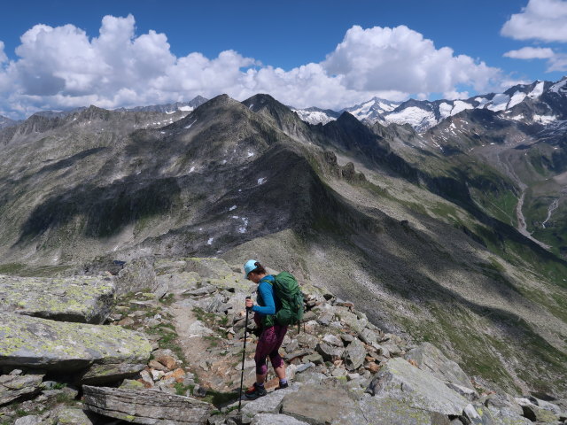 Ursa zwischen Sch&uuml;tttalkopf und Krimmler Tauern (11. Juli)