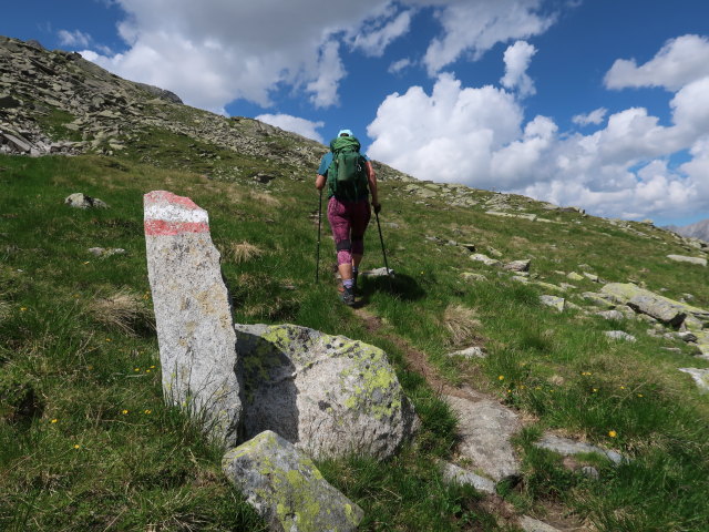 Ursa am Kesselweg zwischen Unterem Kessel und Windbachscharte (11. Juli)