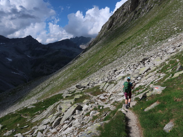 Ursa zwischen Windbachscharte und Richterh&uuml;tte (11. Juli)