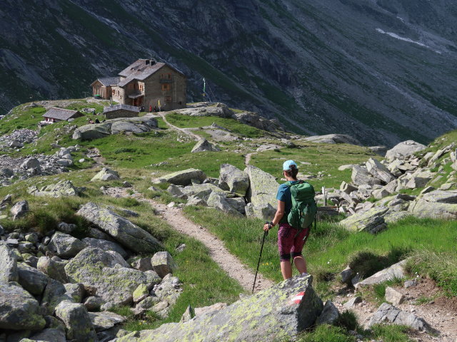 Ursa zwischen Windbachscharte und Richterh&uuml;tte (11. Juli)