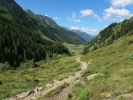 zwischen Ahrntal und Unterer Tauernalm (11. Juli)