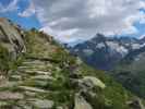 zwischen Oberer Tauernalm und Krimmler Tauern (11. Juli)