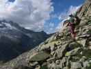 Ursa zwischen Windbachscharte und Richterh&uuml;tte (11. Juli)
