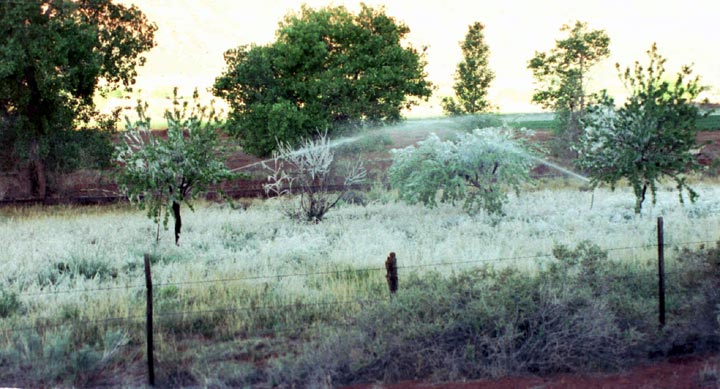 Castle Valley (9. Mai)