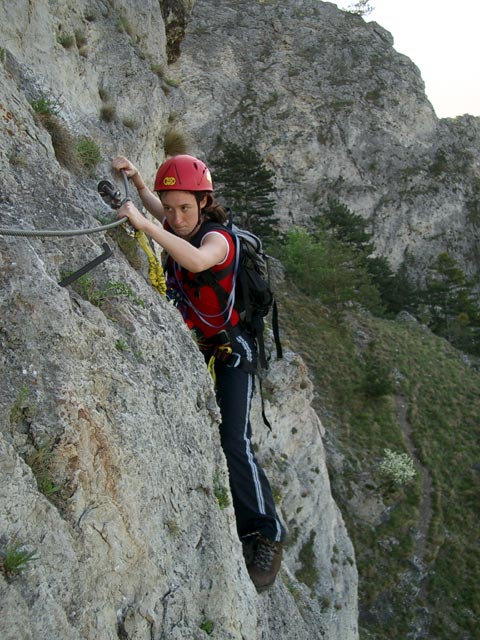 Pittentaler Steig: Carmen in der ersten Querung