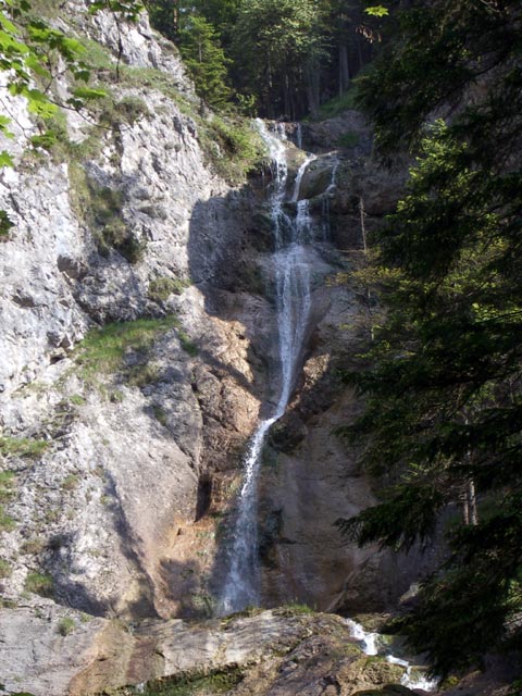 Schleierfall (31. Mai)