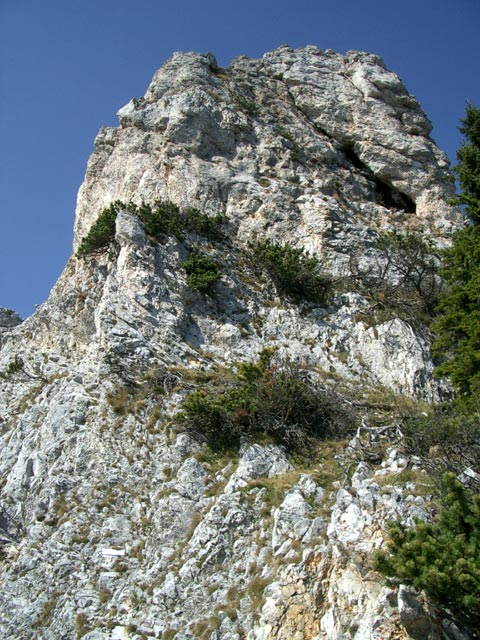 Törlkopf