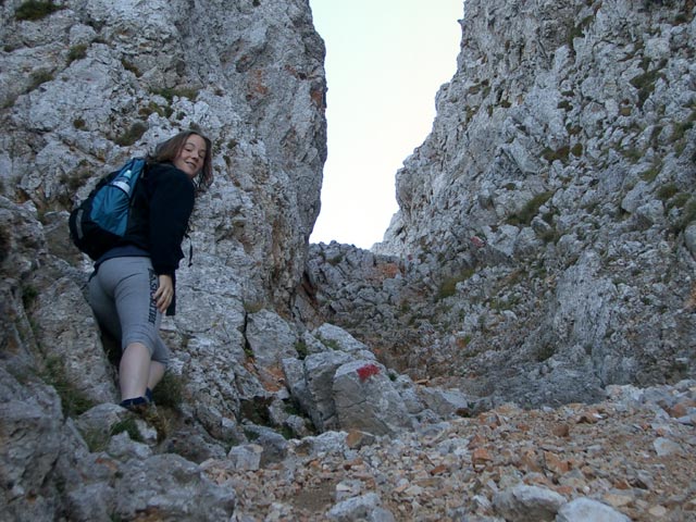 Wildes Gamseck: Irene