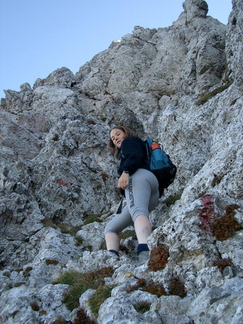 Wildes Gamseck: Irene