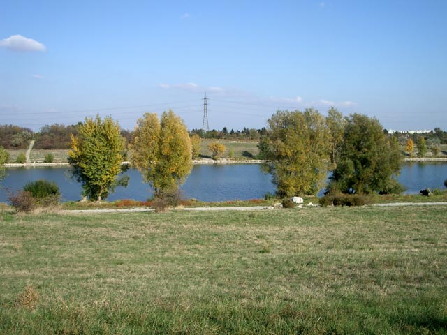 Neue Donau (17. Okt.)