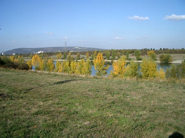 Neue Donau (17. Okt.)