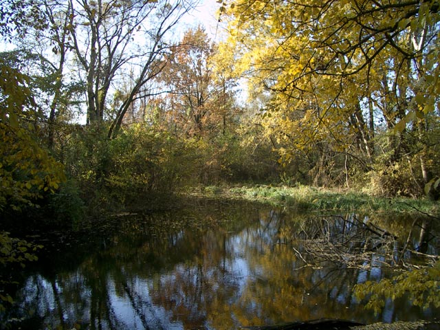 Mühlwasser vom der Lobaubrücke aus