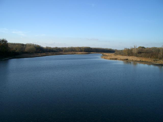 Kühwörter Wasser bei der Gänsehaufentraverse