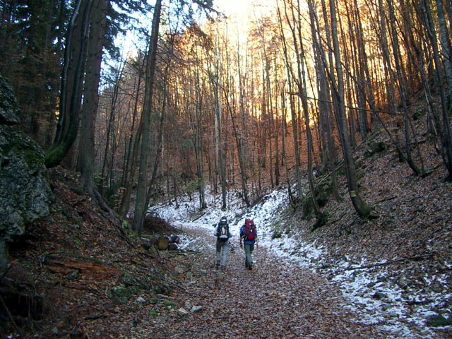 Sonja und Christoph im Promisque Graben