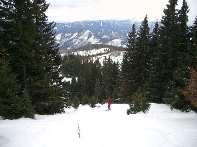 ehemalige Piste südlich des Hüttenhangs