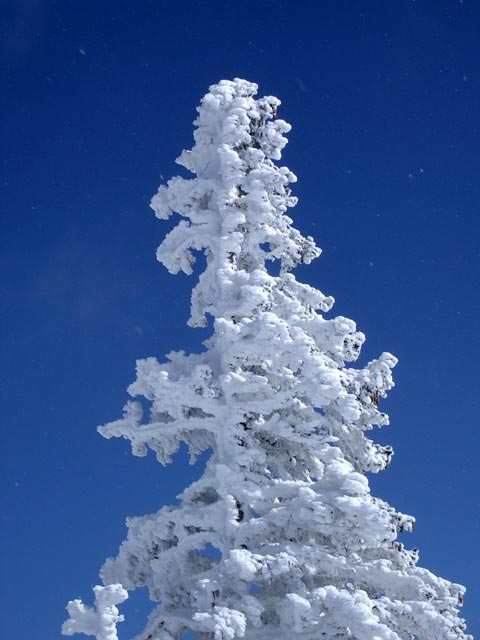 bei der Bergstation des Schilifts