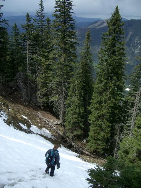 Irene im Steinlehngraben