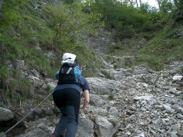 Hans-Hernler-Steig: Irene