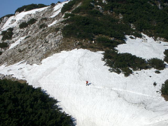 Christoph am Weg 820 beim Jägerköpfl (30. Mai)