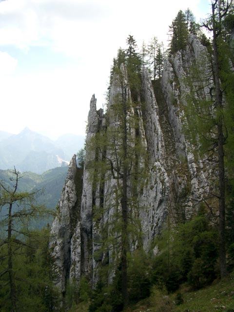 am Weg 832 (31. Mai)