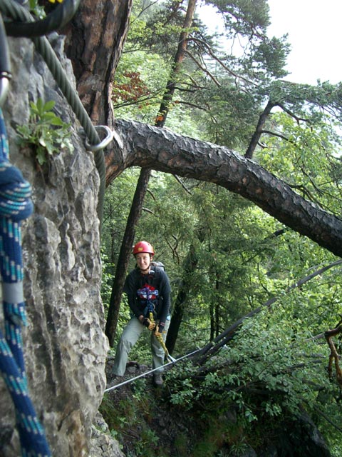 Felsblock aus dem ein Baum herauswächst