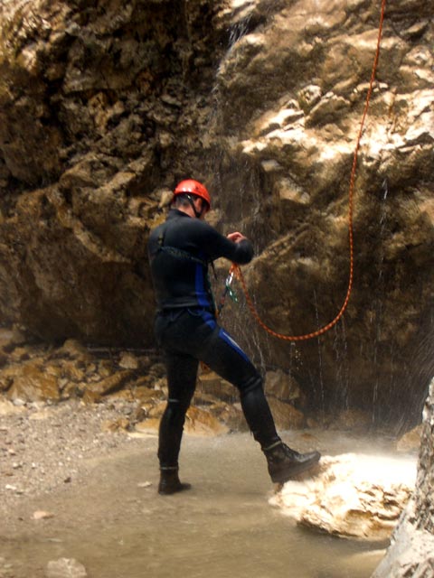 ? im Altersbach (27. Juni)