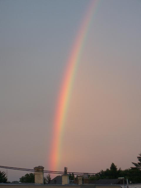 Regenbogen über Süßenbrunn (15. Juni)