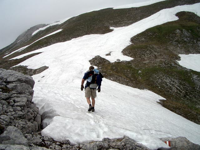 Erich auf Weg 219 (4. Juli)