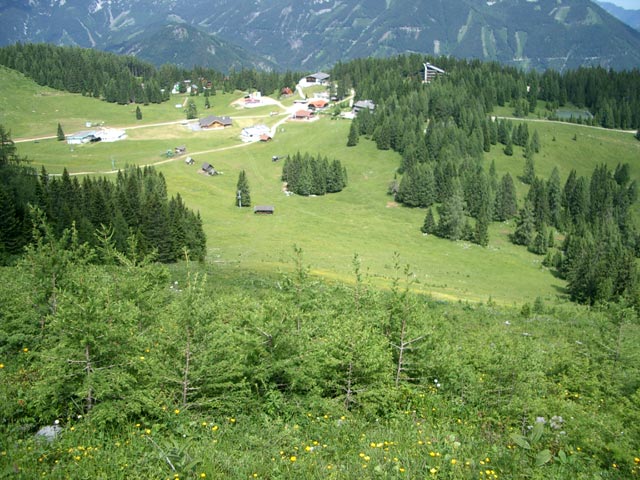 Lärchenhang (5. Juli)