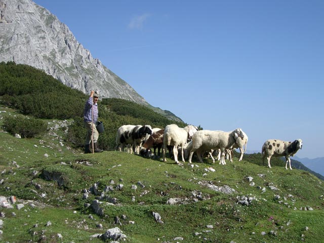 Hirte bei der Coburger Hütte