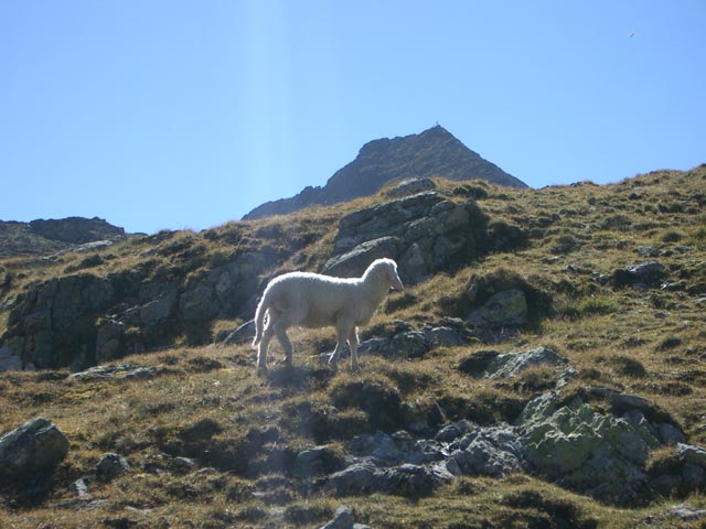 Greifenberg vom Klafferkessel aus (18. Sep.)