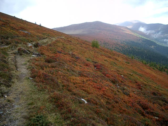 Peterer Riegel von der Hirschegger Alpe aus