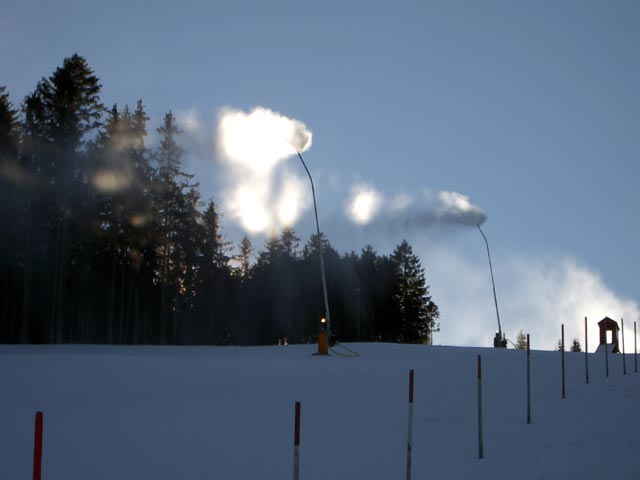 Schieferwiese (11. Dez.)