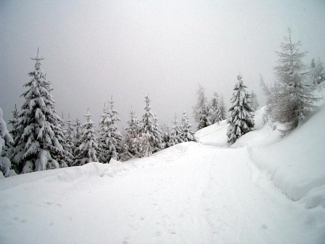 Verbindungsweg zwischen der Bergstation des Berglifts und dem Schigebiet Dürrkogel