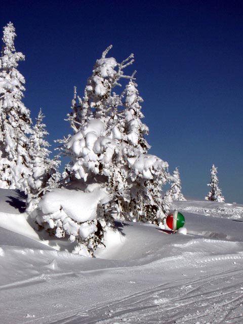 neben der Abfahrt des Schilifts