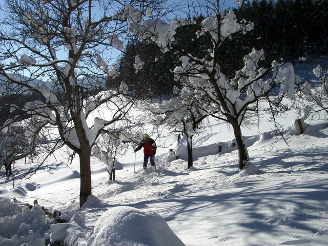 Erich auf der Schöllerabfahrt