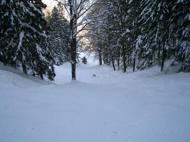 Erich auf der Lahngrabenabfahrt