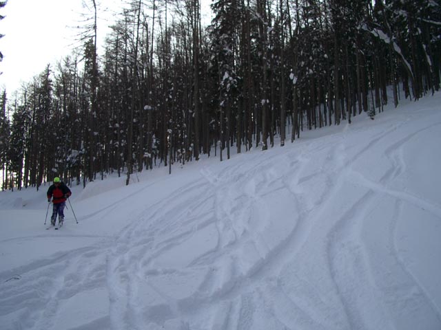 Erich auf der Schöllerabfahrt (Mechanikerkurve)