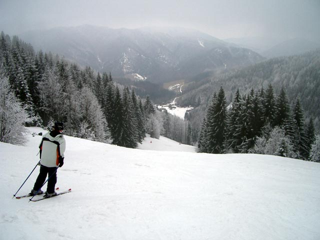 Daniela in der Grünau