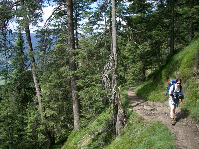 Daniela zwischen Bachwinkl und Peter Wiechenthaler-Hütte (3. Juli)
