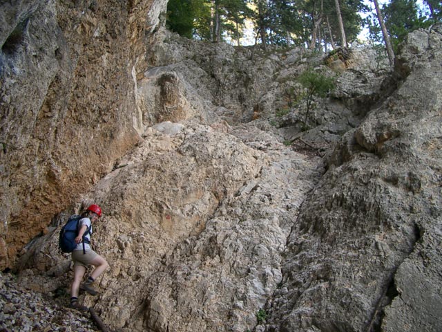 Daniela am Köberlgrat