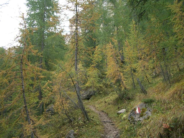 zwischen P.so Pasche und Pë de Forcia