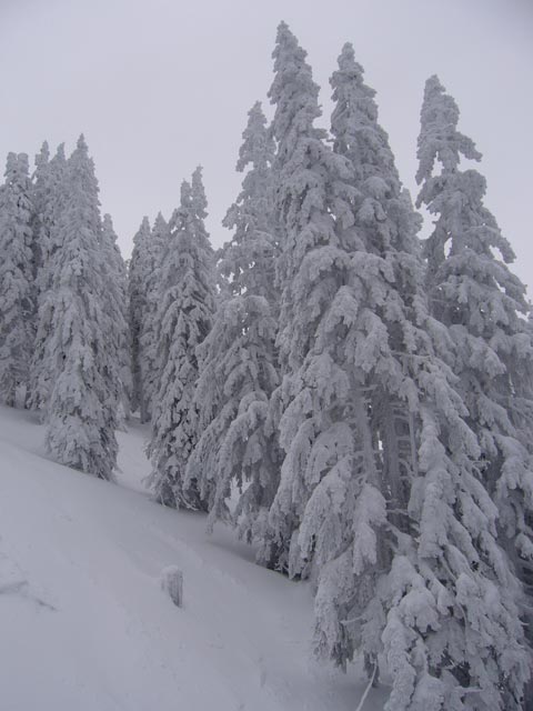vom 4er Sessellift Leckerplan aus
