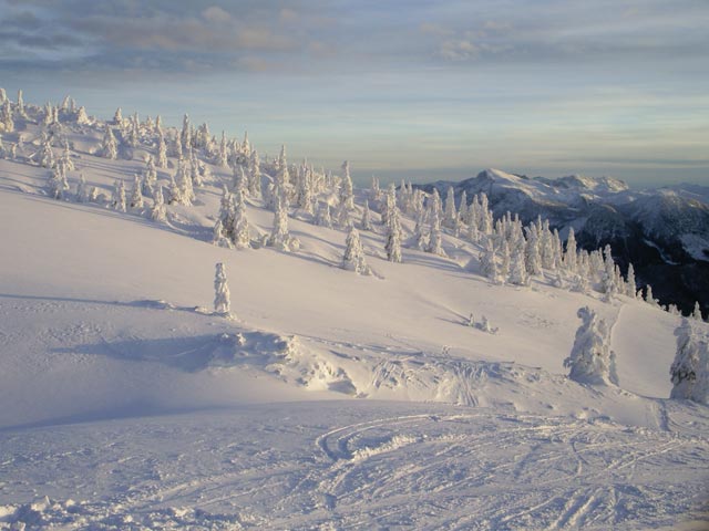 Sonnenhang (31. Dez.)