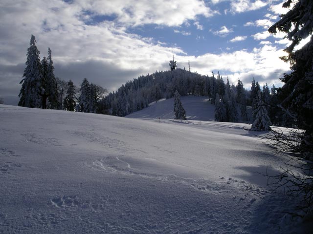 Muckenkogel