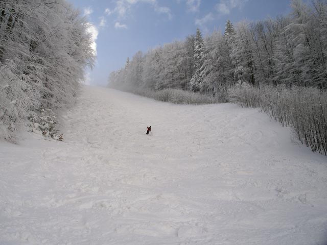 Sonja auf der Skiroute Schneissl