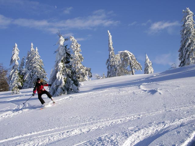 Sonja auf der Skiroute Schneissl