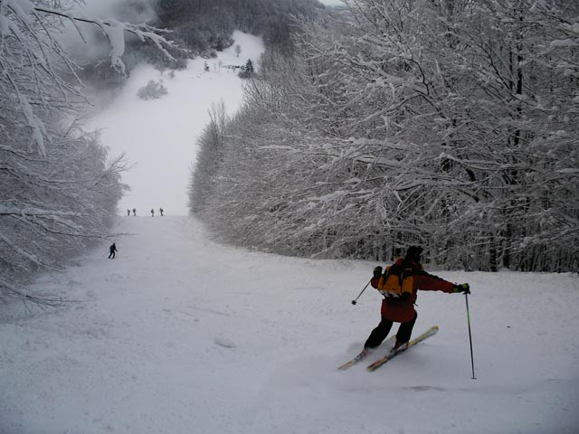 Sonja in der Schneise