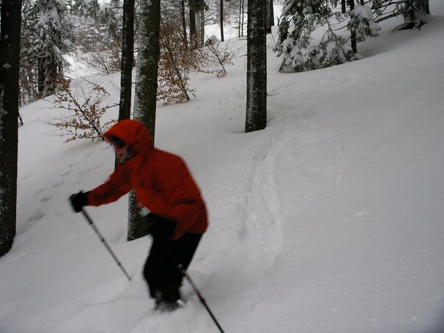 Gudrun zwischen Karner Schlag und Silbergraben